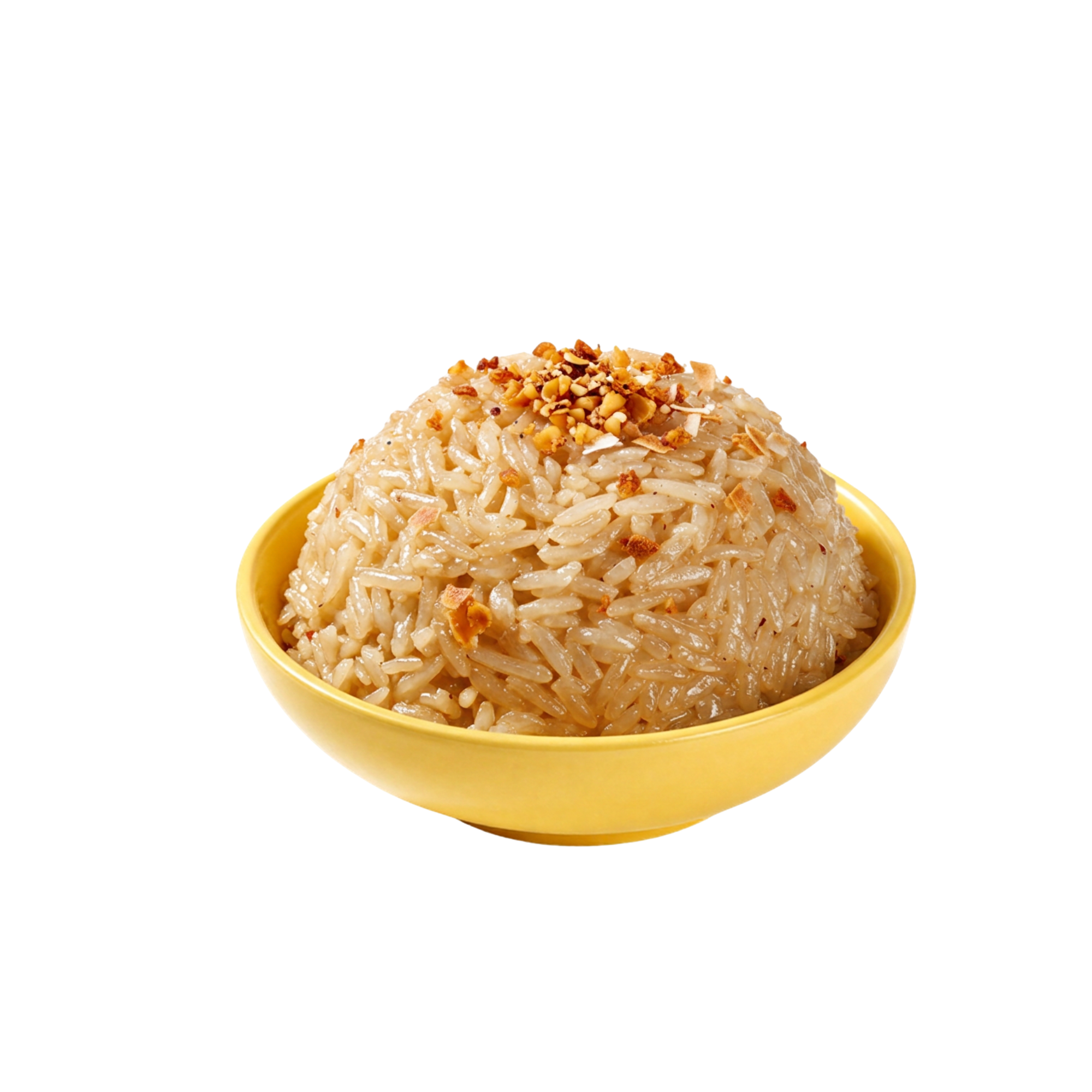 Coconut Garlic Rice